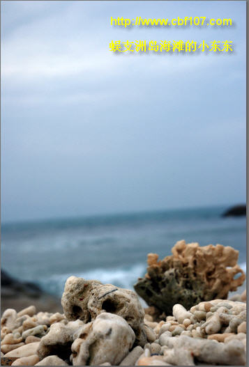 http://www.cbf107.com/images/sy/sy20081218022.jpg