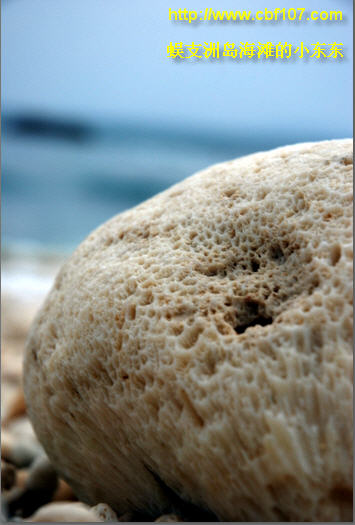 http://www.cbf107.com/images/sy/sy20081218023.jpg