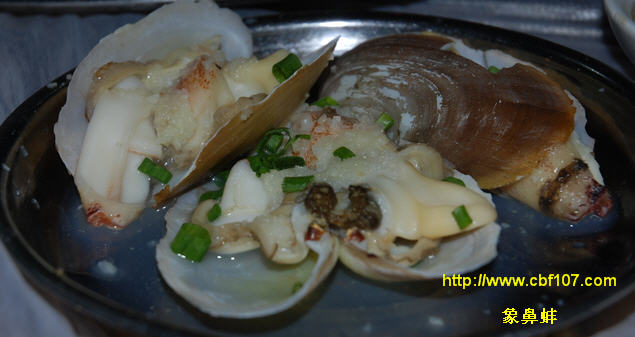 http://www.cbf107.com/images/sy/sy20081218027.jpg