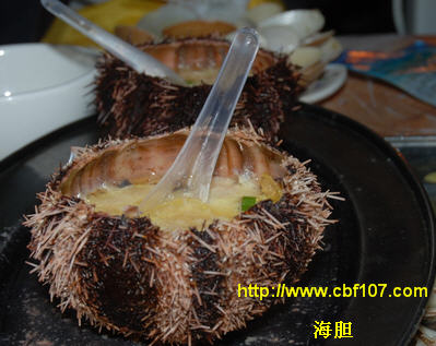 http://www.cbf107.com/images/sy/sy20081218028.jpg