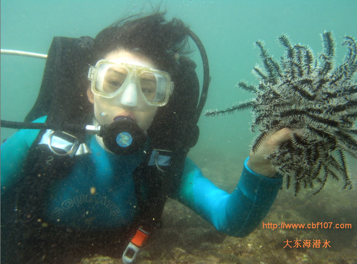 http://www.cbf107.com/images/sy/sy20081218035.jpg